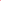 Women‘s - TUUR - Face Hibiscus T-Shirts % OUTLET ARCHIV 1st Edt. Beet Red Frühjahr / Sommer Hawaiian Ocean Hibiscus L M Organic Cotton Peacoat S spo-default spo-disabled spo-notify-me-disabled SUB - Loose - Trail Cut tops Women XS