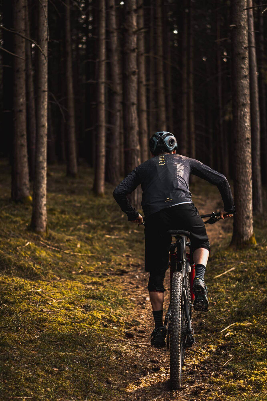Men‘s - SWET LS Een Radtrikots % OUTLET ARCHIV192 2nd Edt. Anthracite EVO - Comfortable - Training Cut Frühjahr / Sommer Herbst / Winter L M Men Mountainbike206 Peacoat Radtrikots193 Recycled Polyester Recycled Polyester188 S spo-default spo-disabled spo-notify-me-disabled Winter-Guide XL XXL