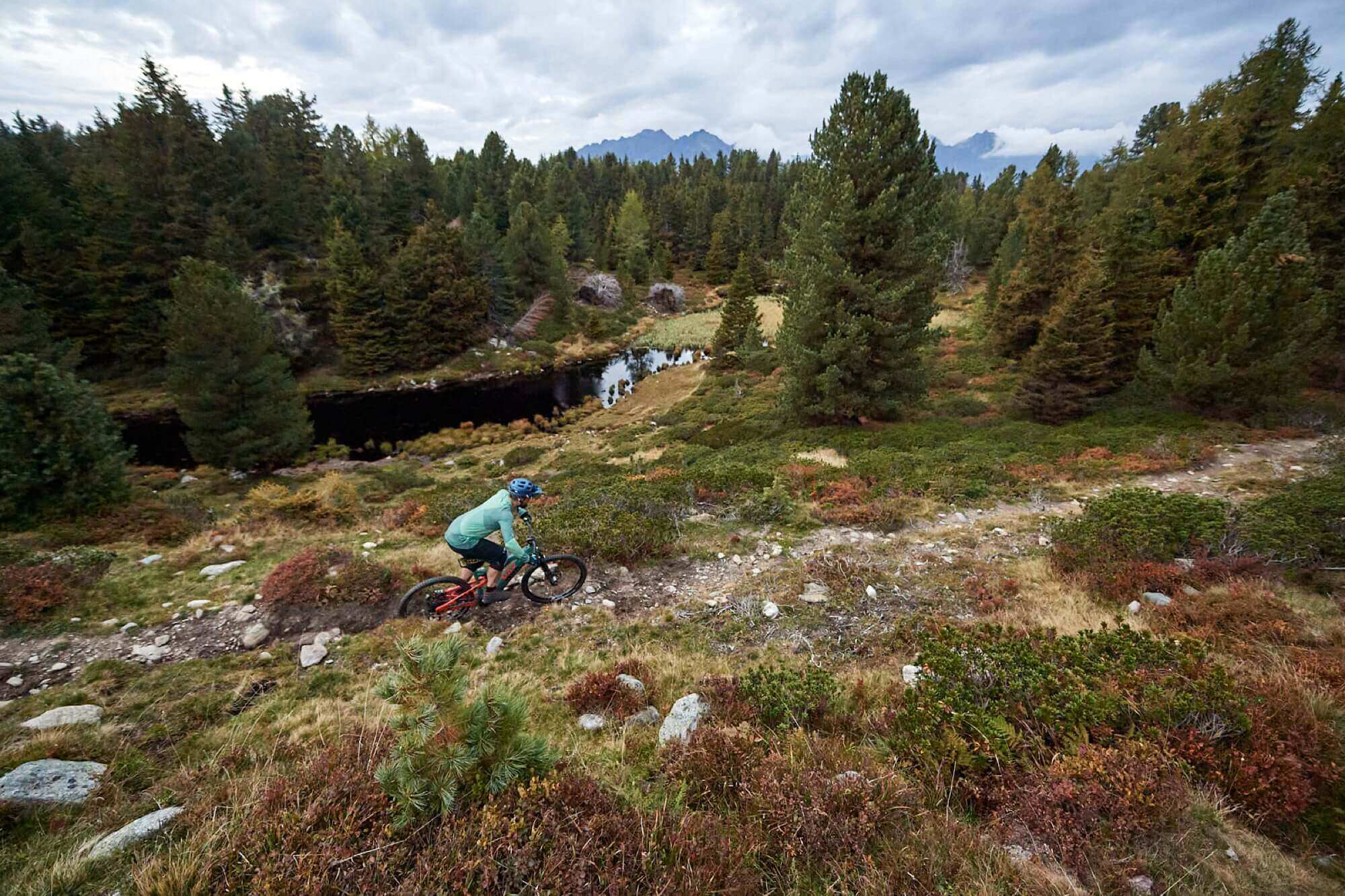 Men‘s - SWET LS Evo Radtrikots 3rd Edt. Bluesteel EVO - Comfortable - Training Cut Frühjahr / Sommer Frühjahr Essentials Herbst / Winter Herren311 L Loden Frost M Men Moonless Night Mountainbike206 New Arrivals186 Radtrikots193 Recycled Polyamide S spo-default spo-disabled spo-notify-me-disabled Urban &amp; E-Bike207 XL XXL